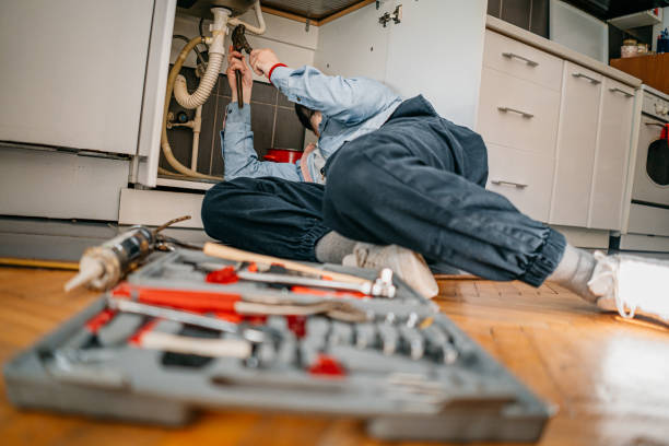 Best Commercial Plumbing Services  in Isanti, MN