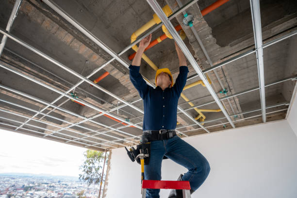 Best Best Plumbers Near Me  in Isanti, MN