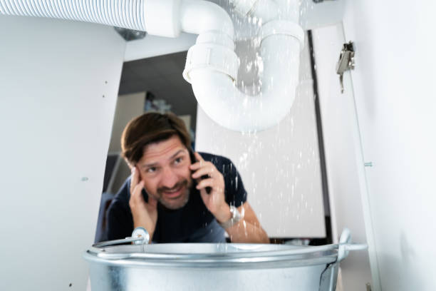  Isanti, MN Plumbing Pros